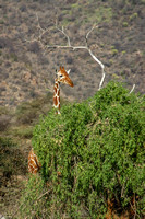 Kerio Valley National Reserve