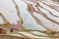 Rice terraces Qingkou
