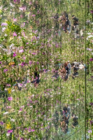 Tokyo - TeamLab Planets