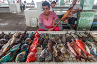 Apia - Fish market