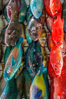 Apia - Fish market