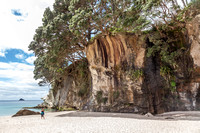 Cathedral cove