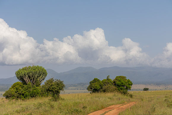 Kidepo Valley NP
